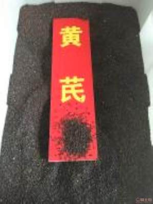黄芪种植技术全解析 季节选择、种子价格与亩产量指南