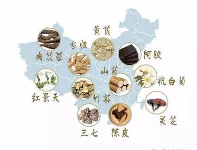 【市中医|膏方节】探秘