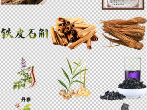 中草药的视觉盛宴 探索中医养生药材高清素材的价值与应用